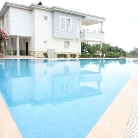 Begonville فيلة *
