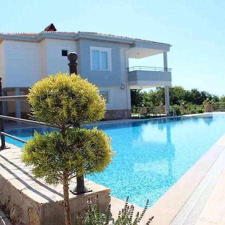Begonville فيلة *