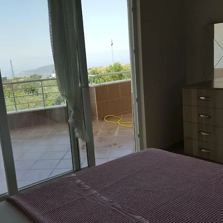 فيلة Begonville ألانيا