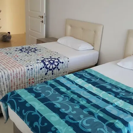 Begonville فيلة *
