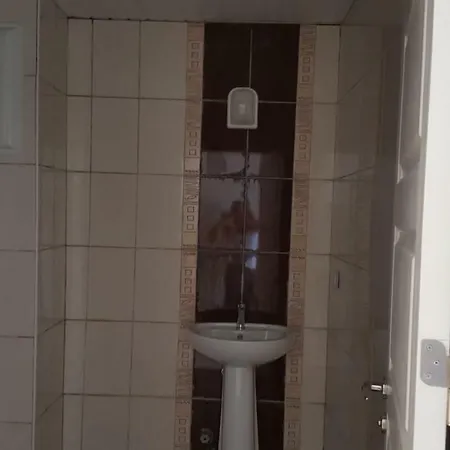 Begonville فيلة *