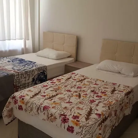 Begonville فيلة
